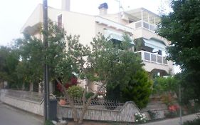 Apartments & Room Diana